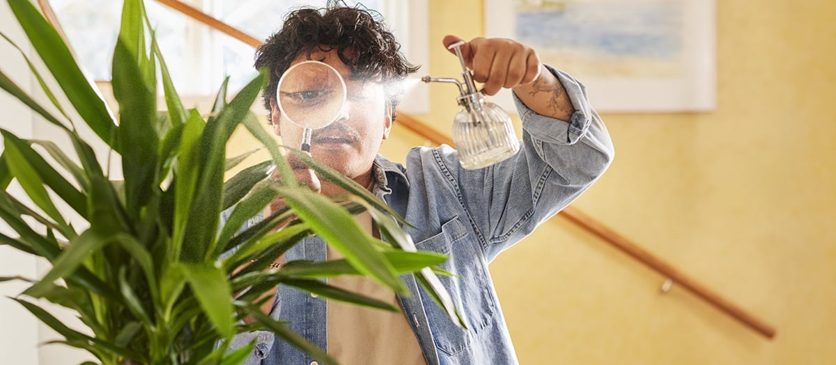 En man som håller en växt och tittar genom ett förstoringsglas.